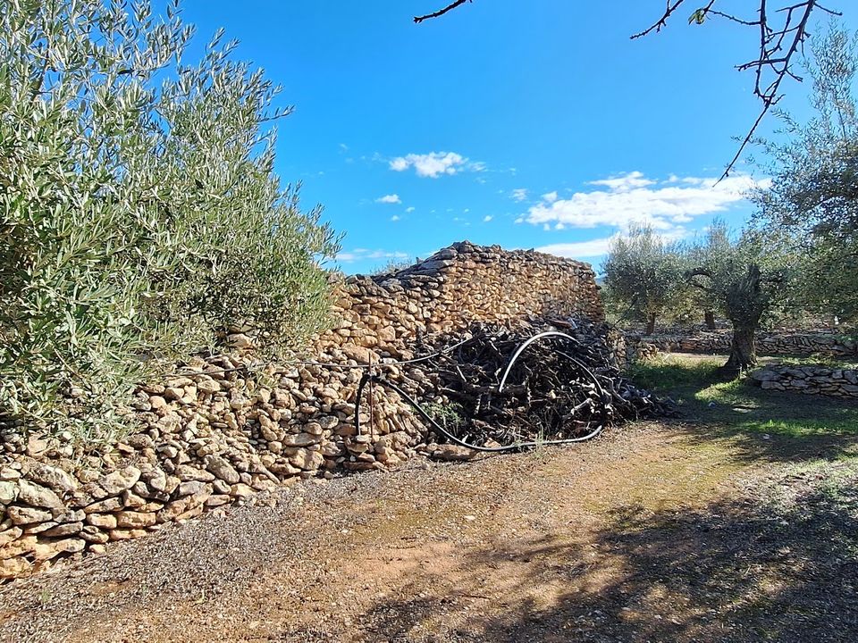 Finca i Tivissa, Tarragona - bilde 5